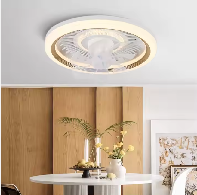 Ventilateur de plafond avec lumière